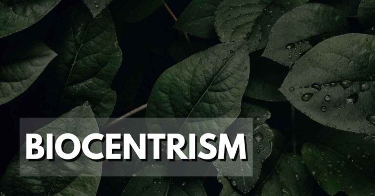 Biocentrism