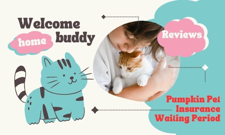 pumpkin pet insurance waiting period